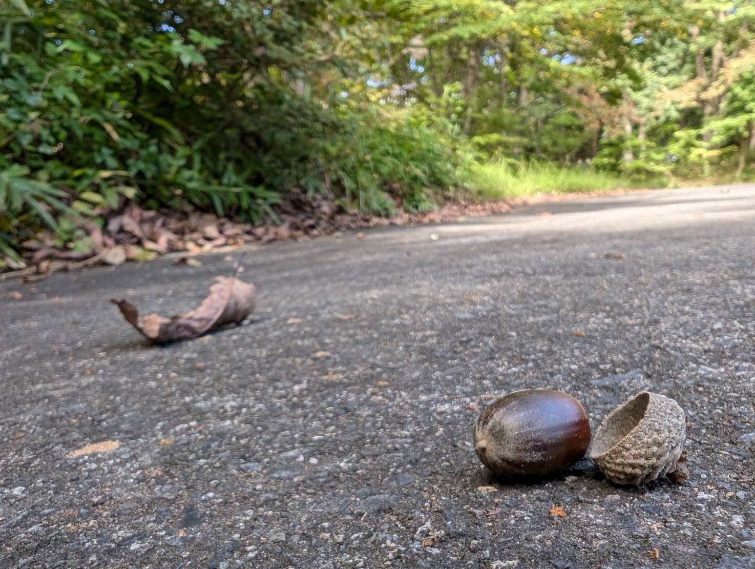 Happy birthday MGC**