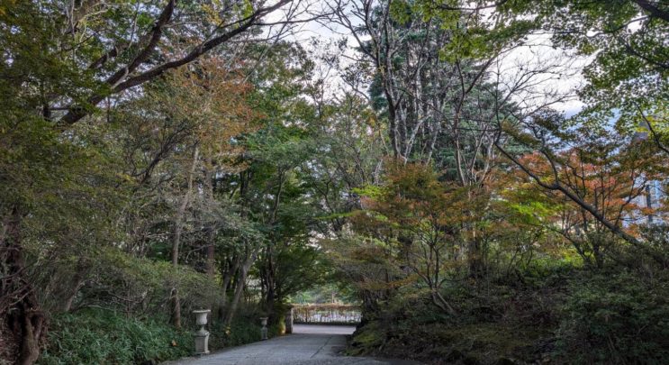 Xmasまであと…**