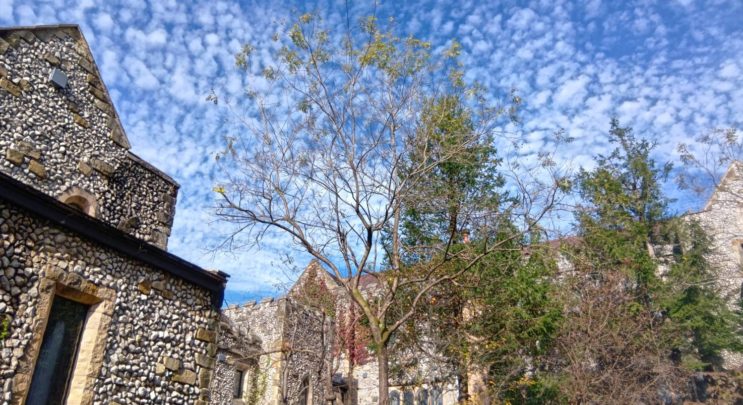 🍁秋の空&ガーデンコート🏰
