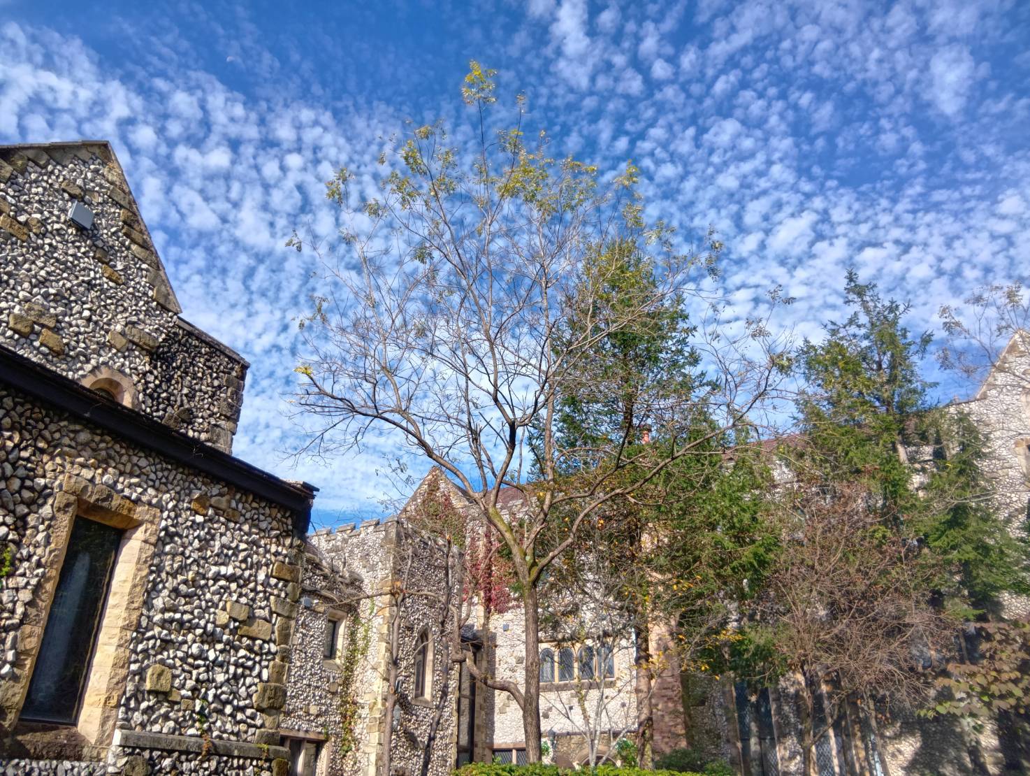 🍁秋の空&ガーデンコート🏰