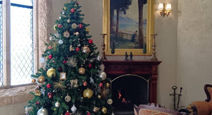 🎄ミッシェルのクリスマスが始まりました🎄