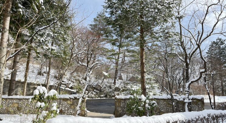 ⛄那須高原の積雪情報⛄
