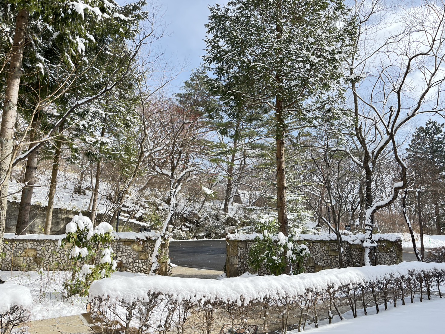 ⛄那須高原の積雪情報⛄