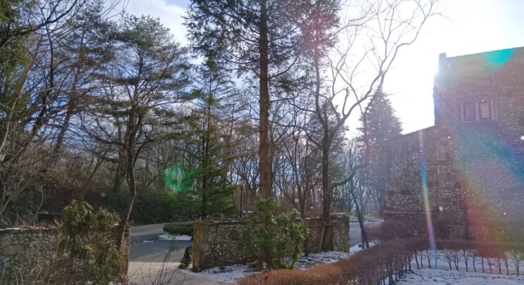 冬の美術館はお楽しみがいっぱい✨